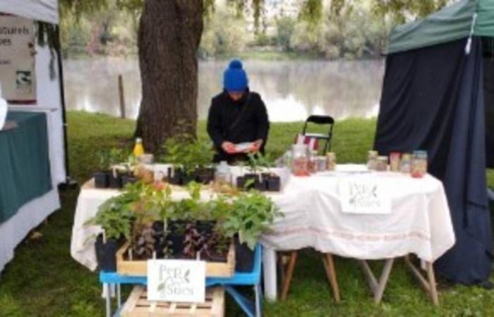 This associative nursery in Haute-Loire, for planting organic and local produce