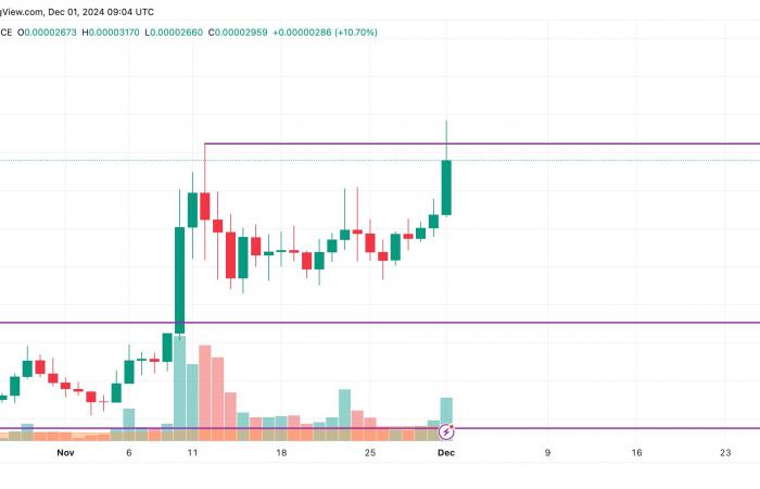 SHIB Price Prediction for December 1