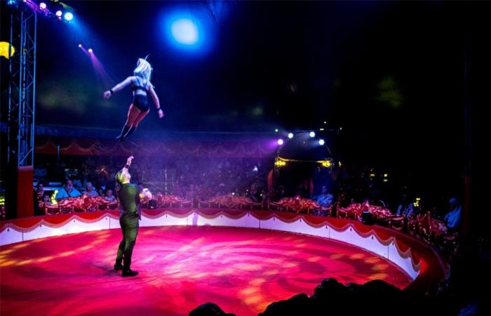 The real life of circus people, Nicolas Bouglione confides: “We're not rolling in gold, but it's an exceptional life”