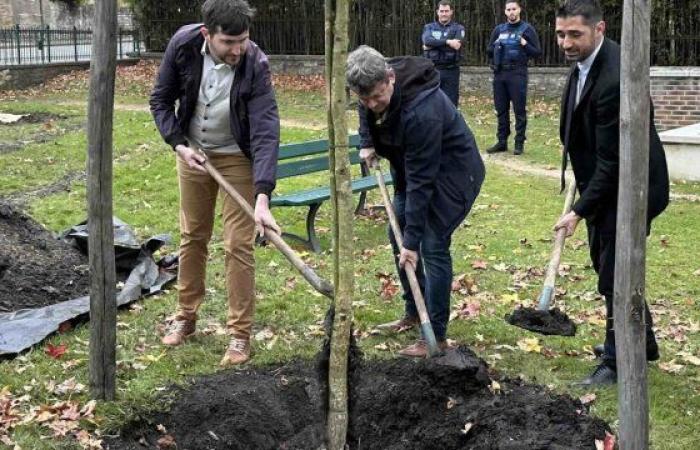 Planting the tree of freedom – Le Petit Journal