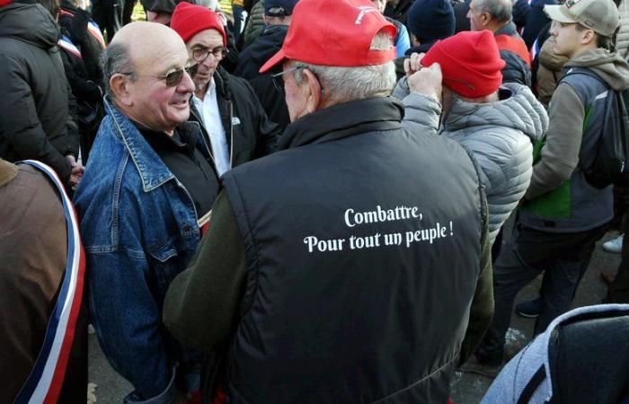 Anger of winegrowers and farmers in Aude: “I particularly suffer from drought and episodes of hail”, testified one of them