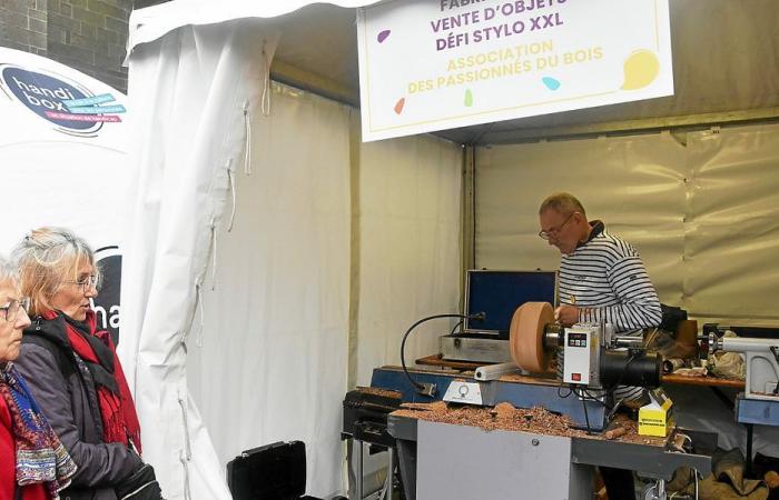 30 hours of Telethon in Quimper: the challenges met in pictures