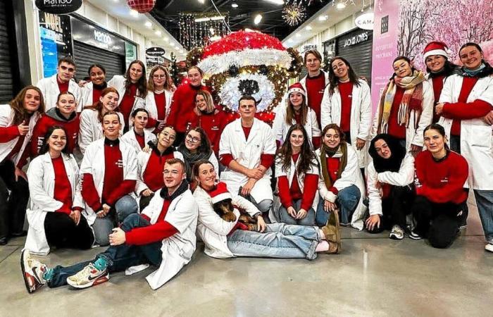 In Finistère, these medical students are at the bedside of hospitalized children