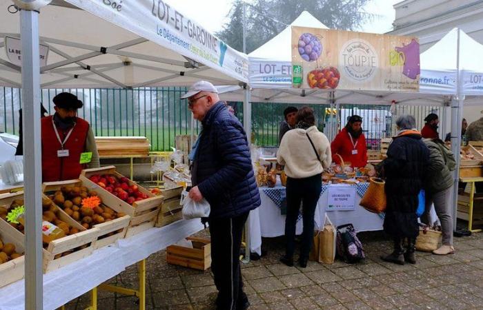 In Lot-et-Garonne, the organic sector, in crisis, is exposed and continues to believe in it