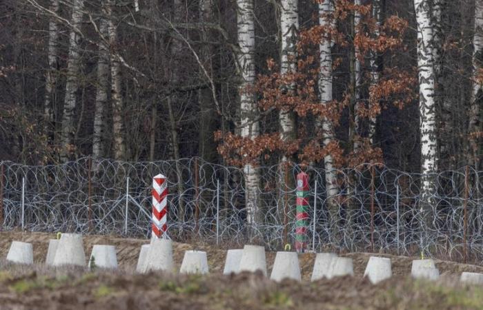 War in Ukraine: Belarus, Russia but also Ukraine… Poland launches work on the protective wall on its borders