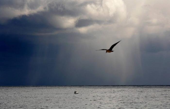 Storm Bora in Greece: two dead on the island of Lemnos, floods in Rhodes