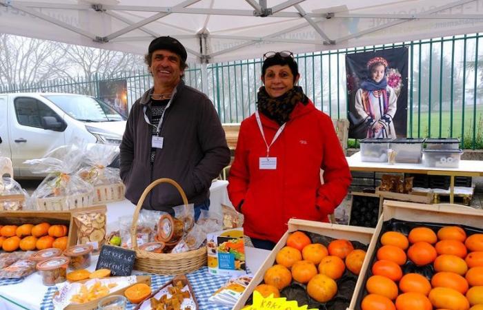 In Lot-et-Garonne, the organic sector, in crisis, is exposed and continues to believe in it