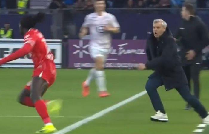 VIDEO. Montpellier-Lille: lunar sequence, when the Lille coach pursues an opposing player who had just shot him to fight it out