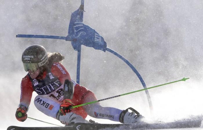 Rast 3e, Hector gagne, Shiffrin chute