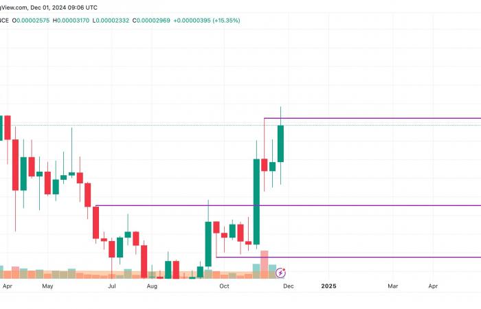 SHIB Price Prediction for December 1