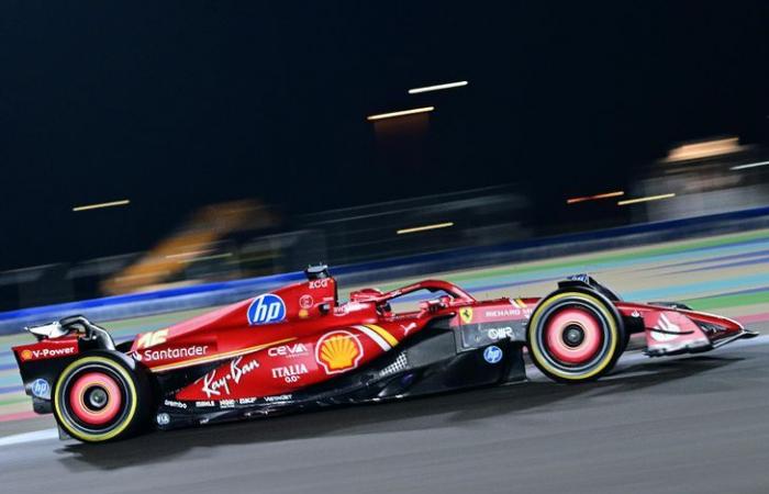 Max Verstappen (Red Bull) wins the Qatar Grand Prix