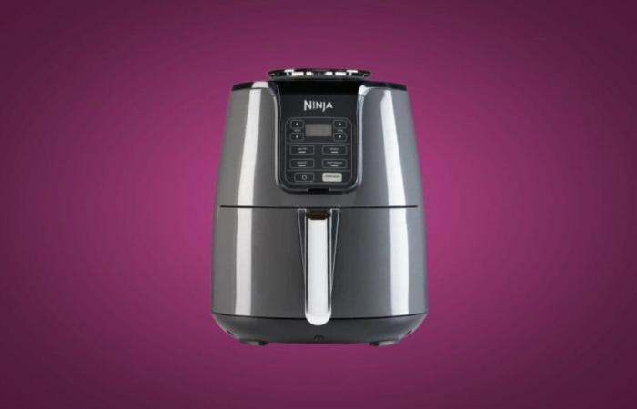 this Ninja oil-free fryer sees its price drop on the official website