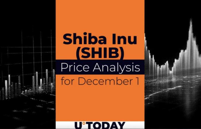 SHIB Price Prediction for December 1