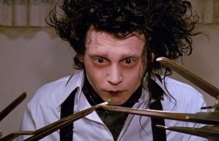 Tim Burton makes this promise to Johnny Depp fans