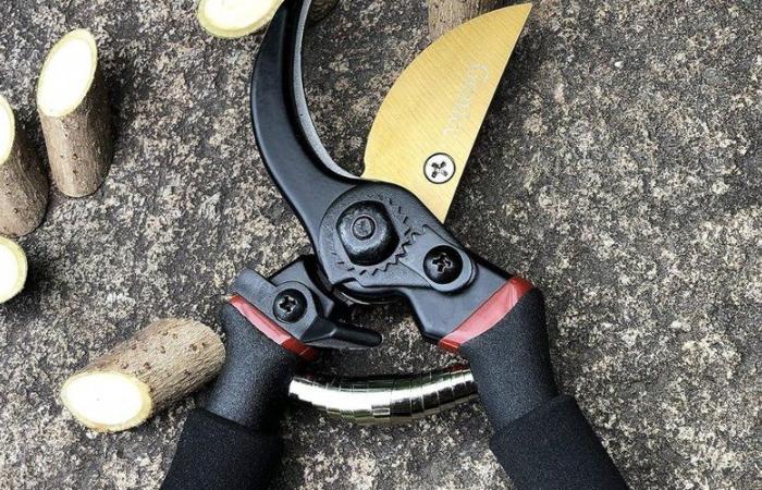 Last moment to grab this blade pruner, take advantage of a Black Friday price at Amazon