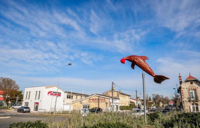 Saint-André-de-Cubzac, a town torn between Haute Gironde and the Bordeaux metropolis