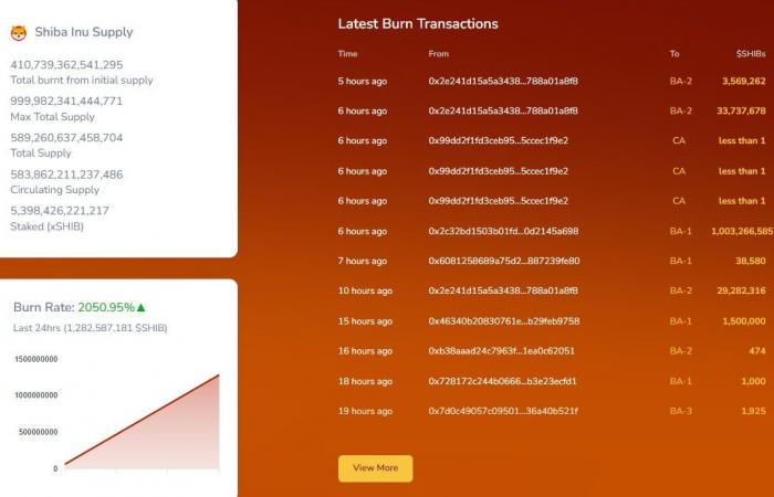 1,003,000,000 SHIB in Single Hour – What’s Happening?