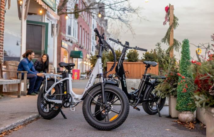 These figures show how illegal electric fatbikes have appealed to the Dutch