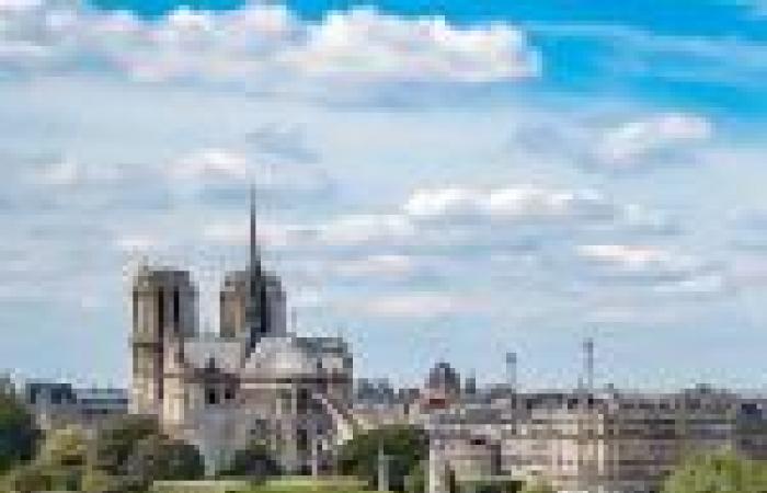 Notre-Dame de Paris: the Lady of Stone show paying homage to the cathedral