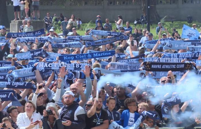 Soccer. Why is a young 6-year-old supporter banned from the stadium?