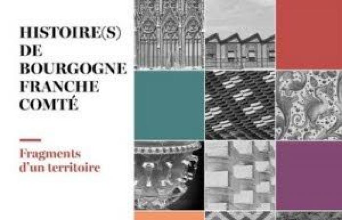 Meeting around the book “History of Burgundy Franche Comte”: Conference in Besancon