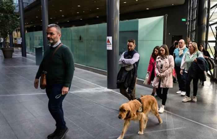 France: At the Victorine murder trial, a dog consoles the victims