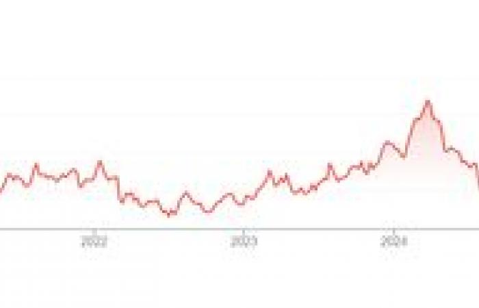 Carlos Tavares leaves Stellantis, the group's share price illustrates its dizzying fall