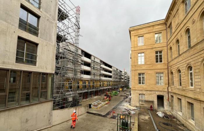 Works, housing prices, luxury hotel… Update on the Castéja islet, in Bordeaux, in the final stretch of the construction site