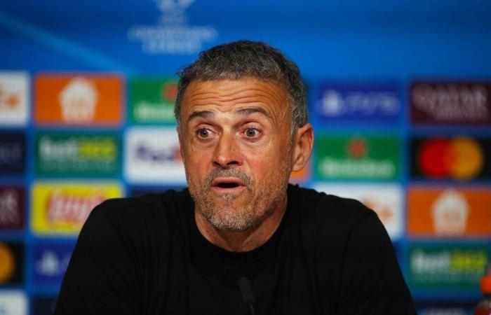 PSG: 800 ME for that, Margot Dumont takes revenge on Luis Enrique