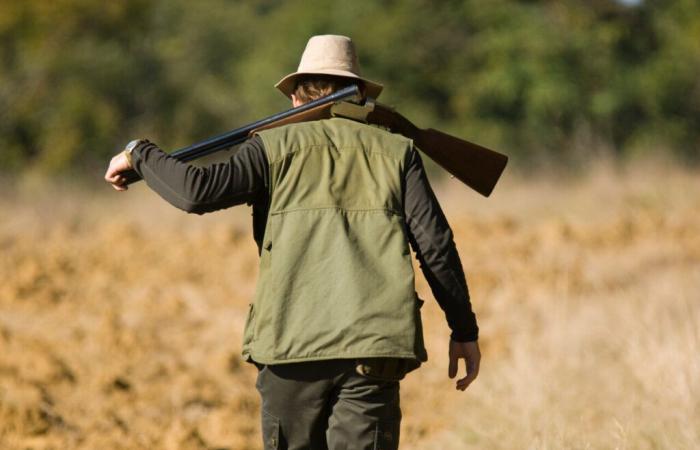 hunters and sport shooters obliged to declare them quickly