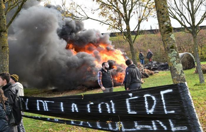 Anger of farmers: burning roundabout, Christmas tree in front of the DDT… the JA and the FDSEA of Gers are mobilizing again