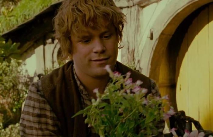 The Lord of the Rings: 9 secrets of Sam