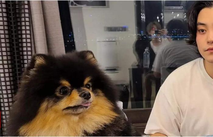 BTS’s V, aka Kim Taehyung, mourns the loss of his dog Yeontan, pens a heartfelt note