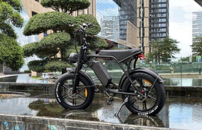 These figures show how illegal electric fatbikes have appealed to the Dutch