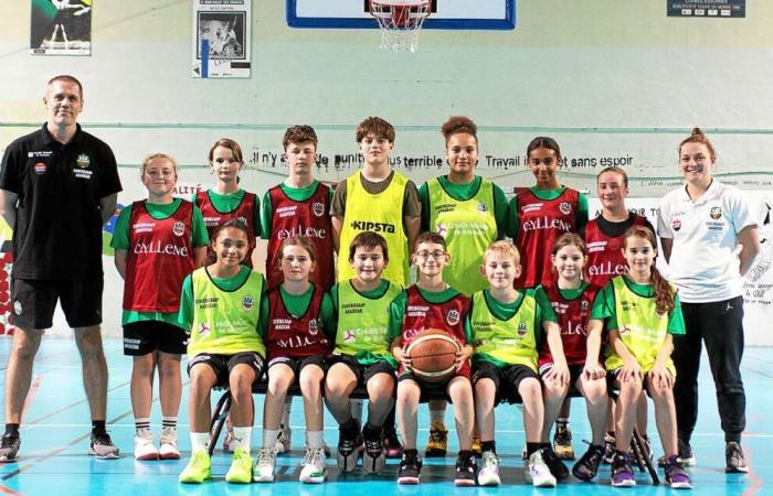 Basketball: at ABC Guingamp, the training is gaining strength