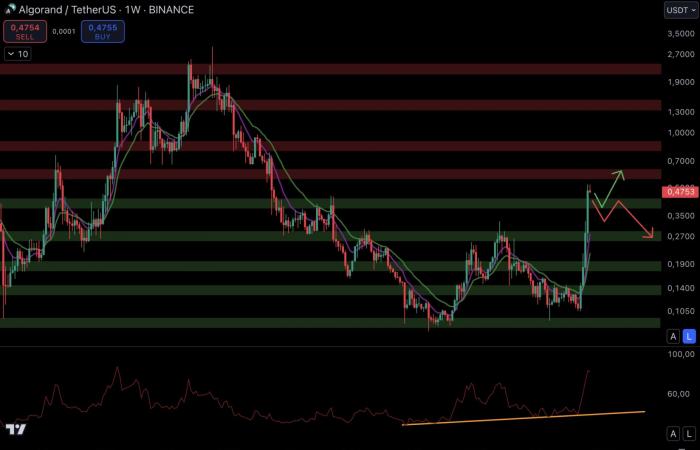 An explosion in December for altcoins? – Cryptos to watch