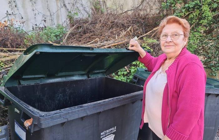 Hundreds of undelivered letters found in trash cans, several municipalities in the Alpes-Maritimes affected