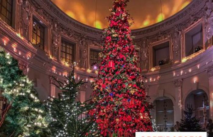 Top 10 of the most beautiful Christmas trees in Paris 2024: enough to put glitter in your eyes