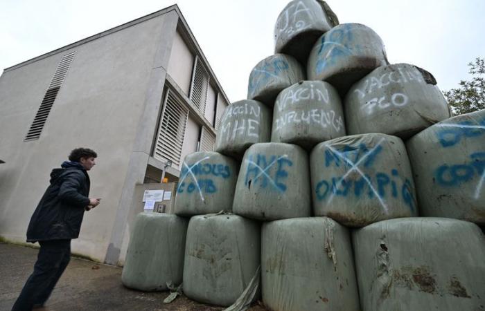 Anger of farmers: burning roundabout, Christmas tree in front of the DDT… the JA and the FDSEA of Gers are mobilizing again