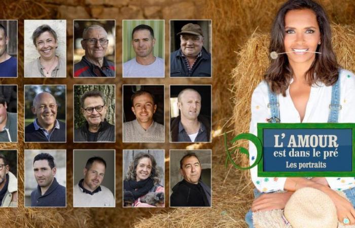 alone or as a couple, what results for the fifteen farmers of season 19?