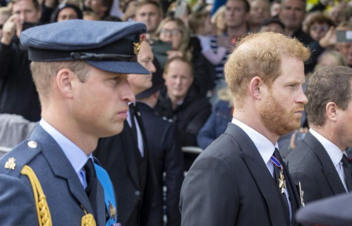 William and Harry: day and night concerning meals, the indiscretions of their former butler