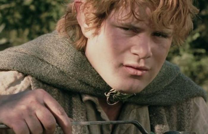 The Lord of the Rings: 9 secrets of Sam