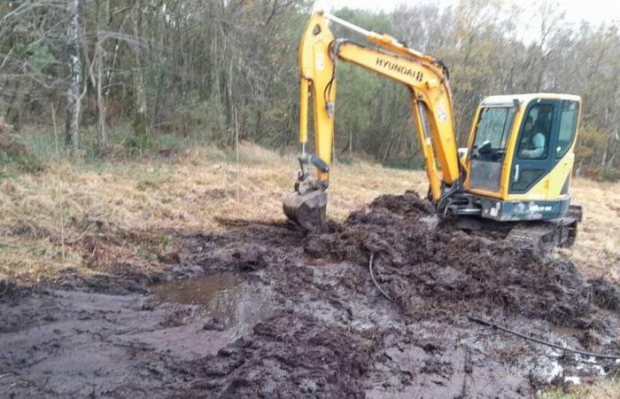 Major restoration work at the Petits Riaux peat bog, in Orne