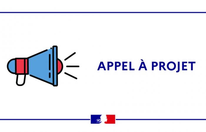 Fight against racism, anti-Semitism, discrimination linked to origin & anti-LGBT+ hatred – Call for projects – Calls for projects / Consultations / Public inquiries – Publications