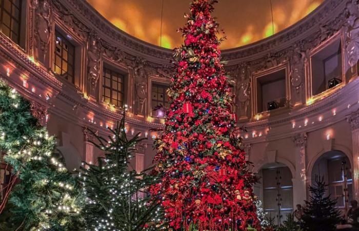 Top 10 of the most beautiful Christmas trees in Paris 2024: enough to put glitter in your eyes