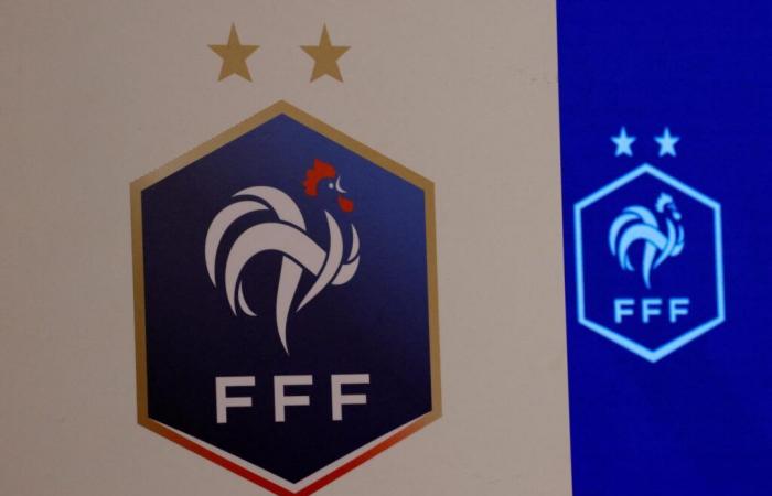 The French Football Federation ordered to pay compensation to an employee victim of sexual harassment