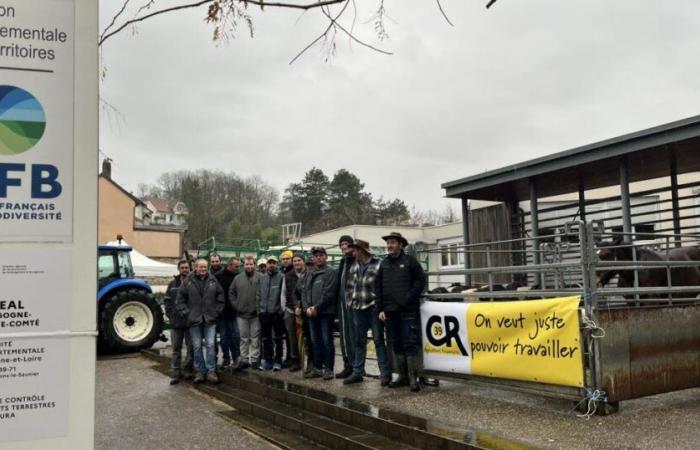 farmers bring their animals to the departmental territorial management