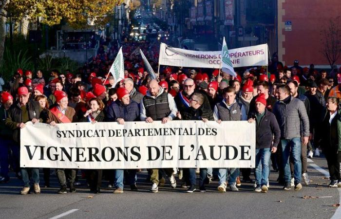 Anger of Aude winegrowers: what now?