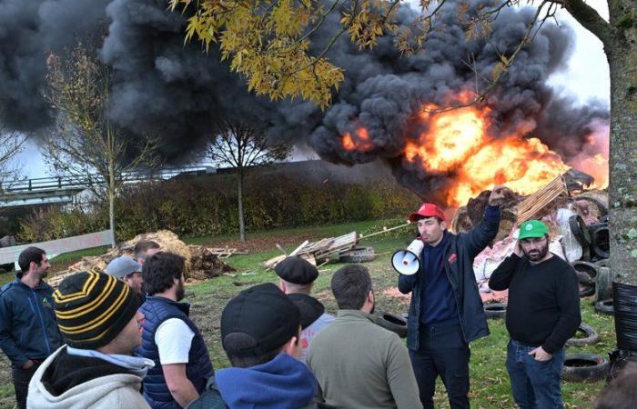 Anger of farmers: burning roundabout, Christmas tree in front of the DDT… the JA and the FDSEA of Gers are mobilizing again