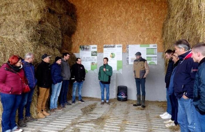 “We gain a maximum of 10°C”: near Cholet, the hay dryer runs on solar power